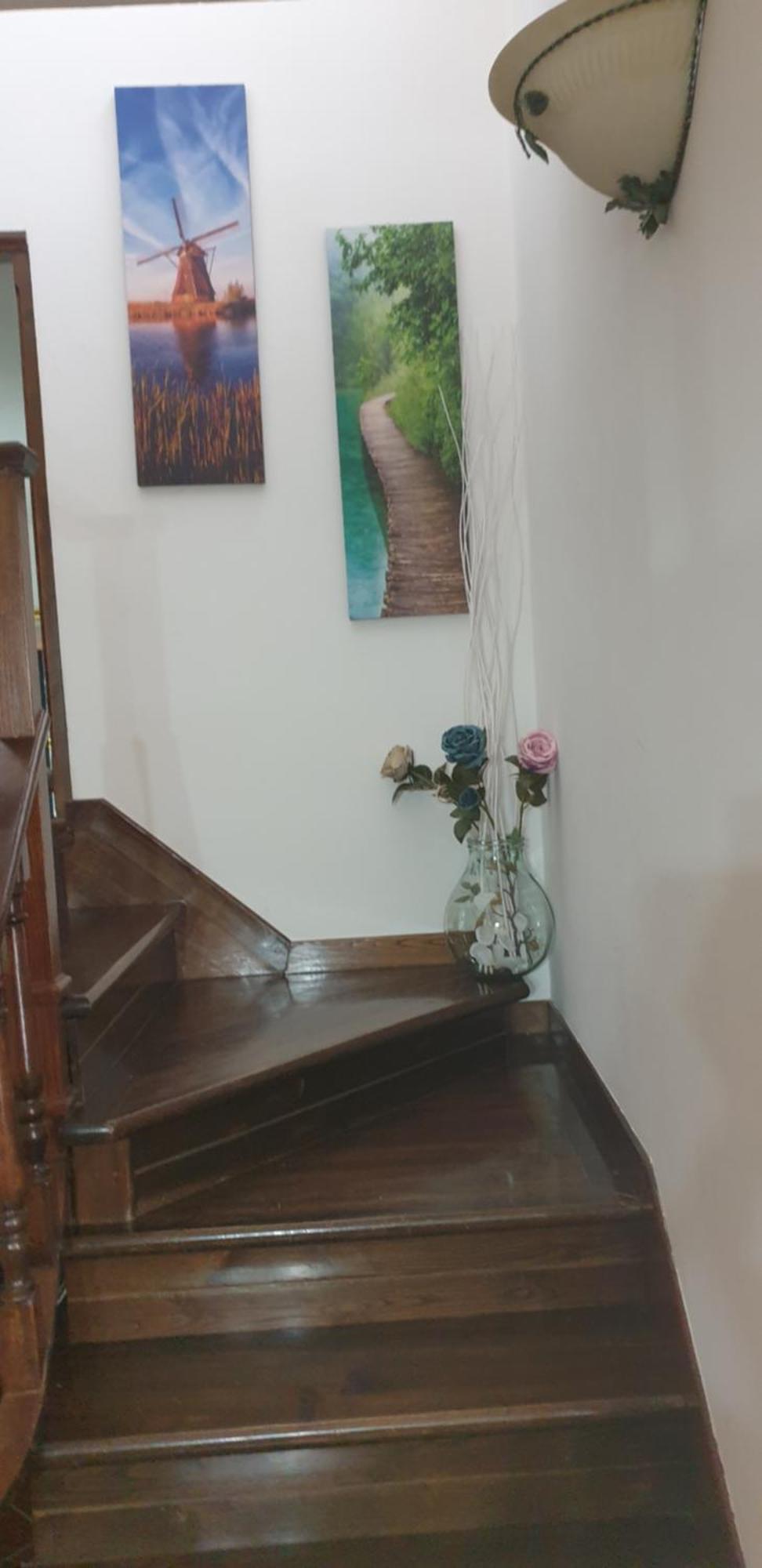 Casa vacanze Lulù Camaiore Extérieur photo