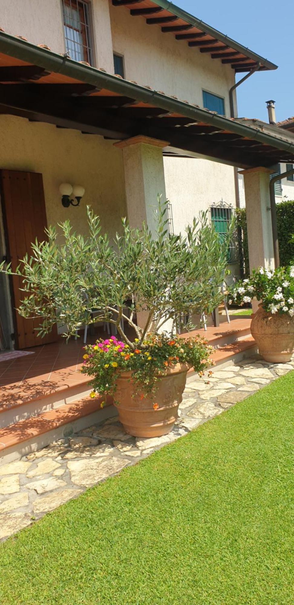 Casa vacanze Lulù Camaiore Extérieur photo